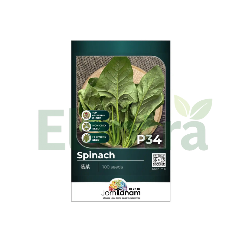 P34 SPINACH